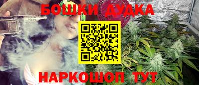 стаф Бузулук