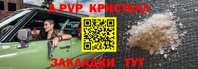 стаф Бузулук