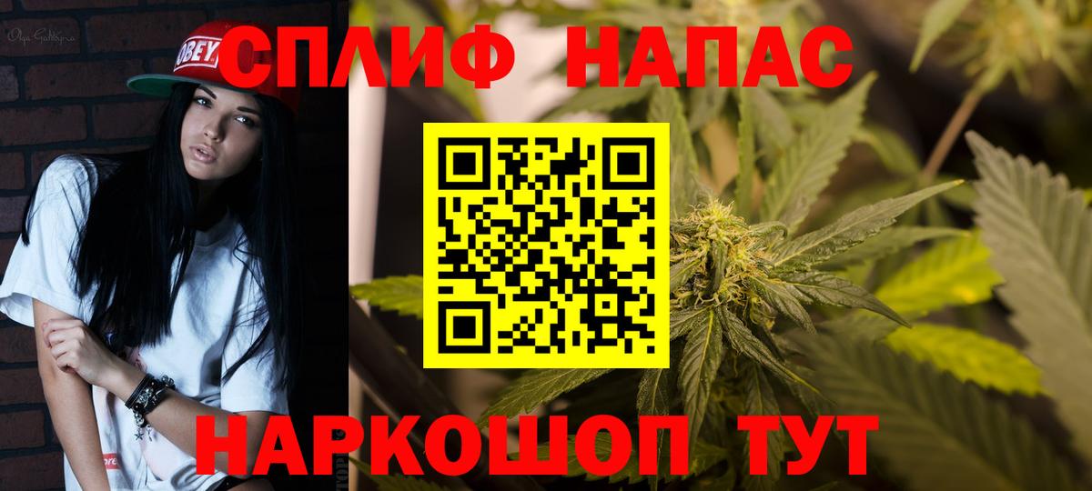 Бошки Шишки MAZAR Надым